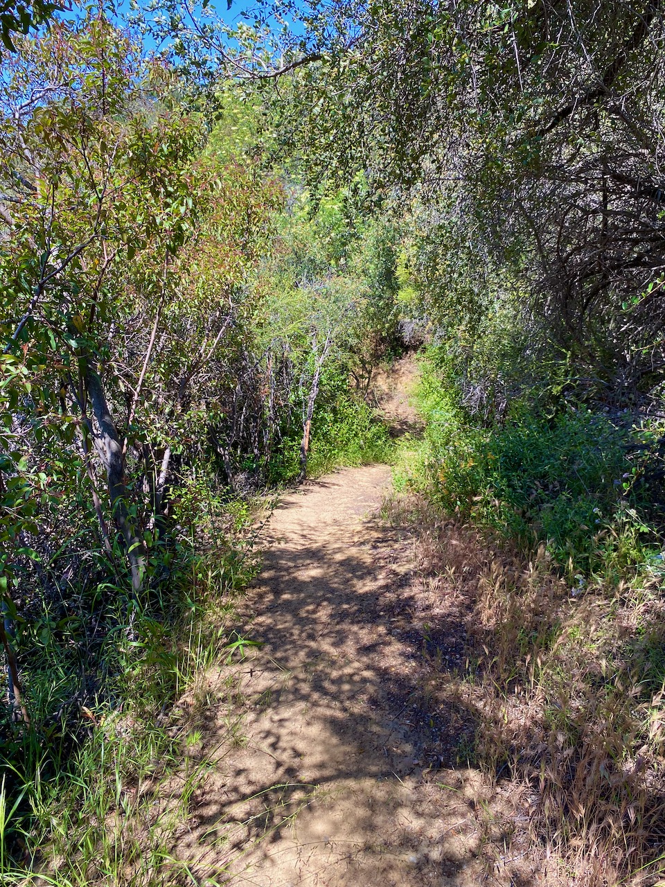 Looking west along the Garapito Canyon Trail