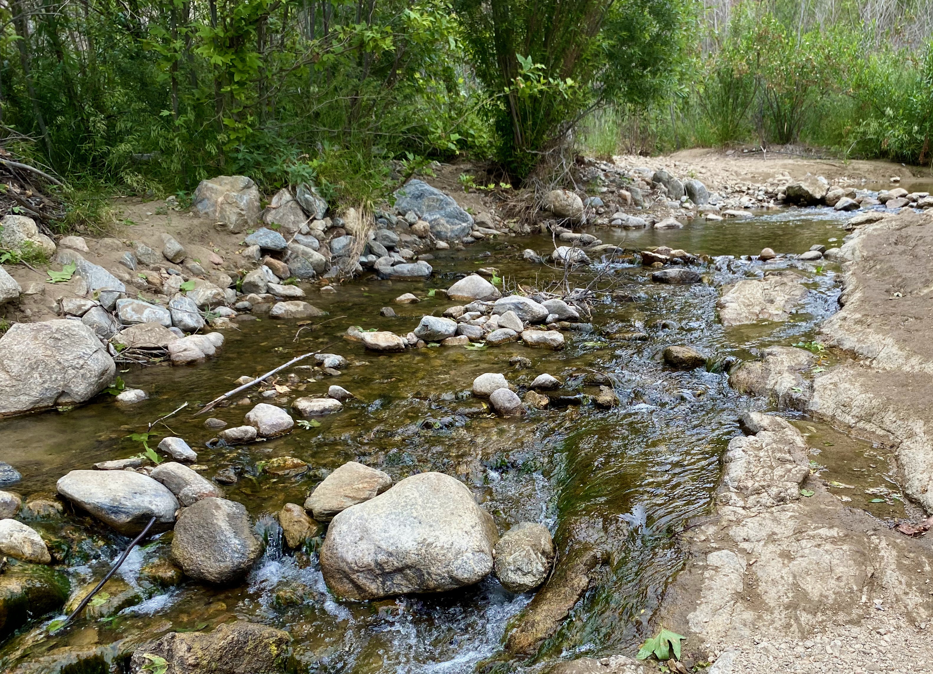 Creek bed at Placerita Canyon in Newhall, CA.