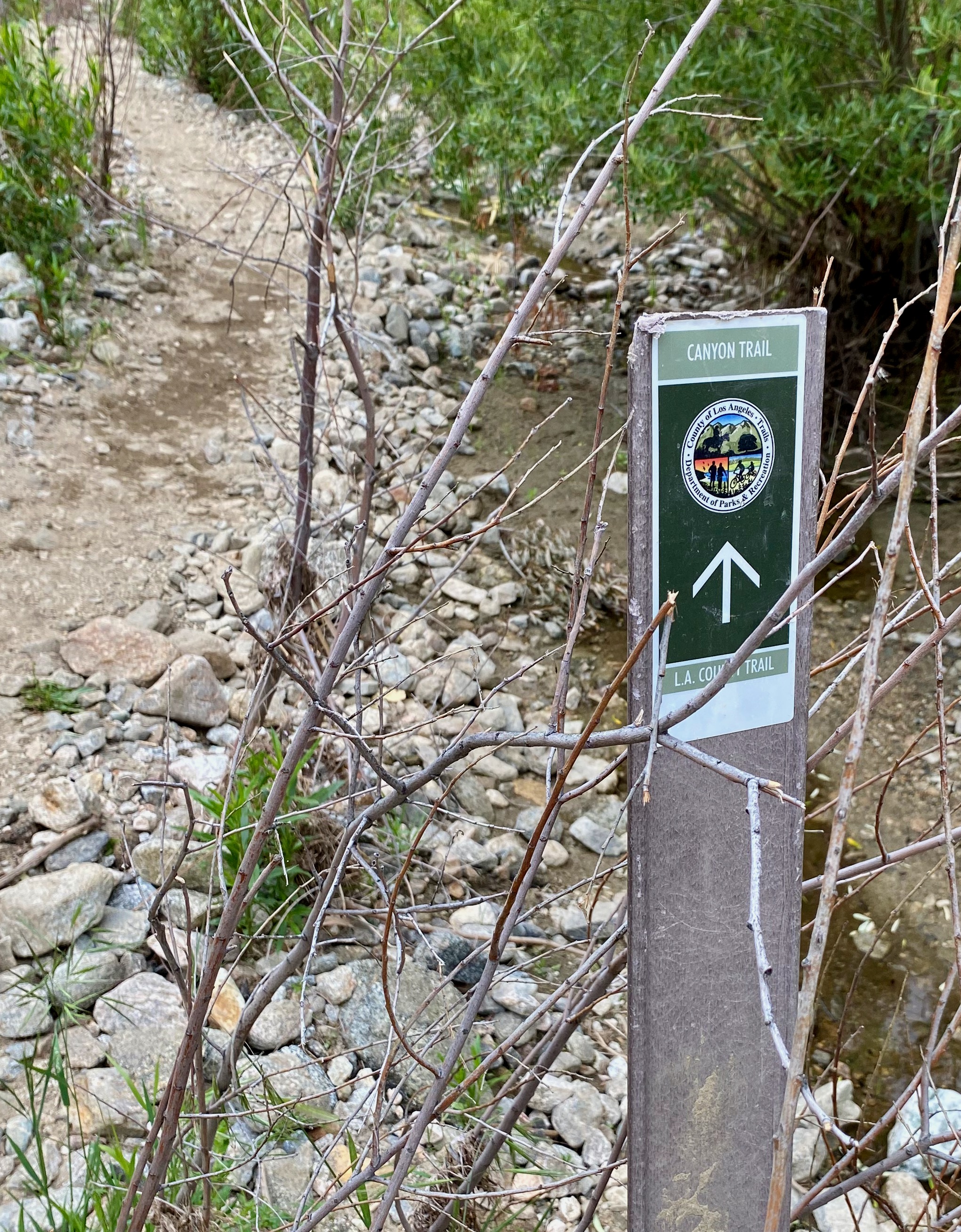 An L.A. County trail sign marking the path along the creek floor on the Placerita Canyon trail.
