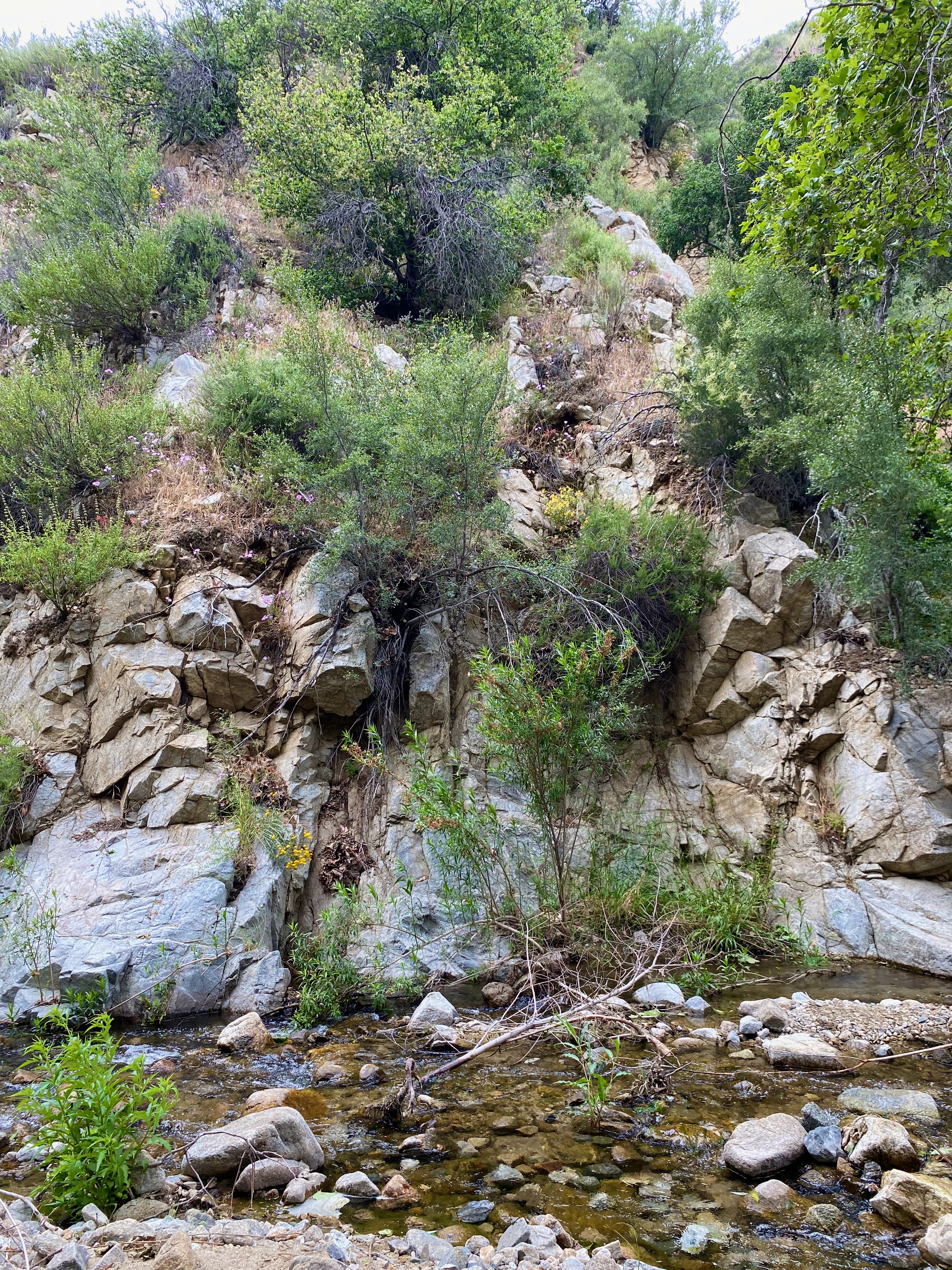 A rock wall about a half mile along the Placerita Canyon trail.