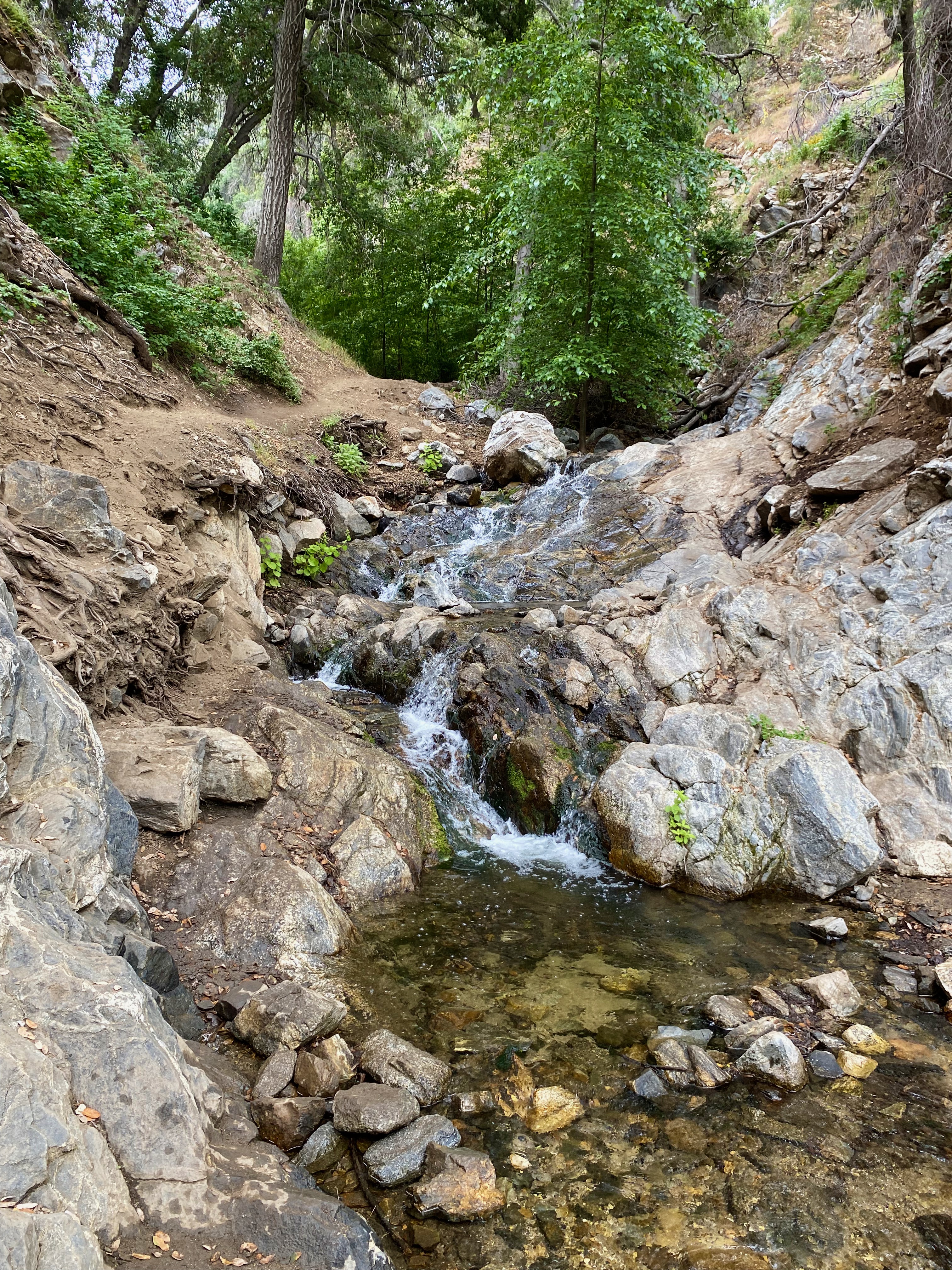A shear creek crossing with steep rock faces and lots of loose boulders on the Waterfall trail at Placerita.