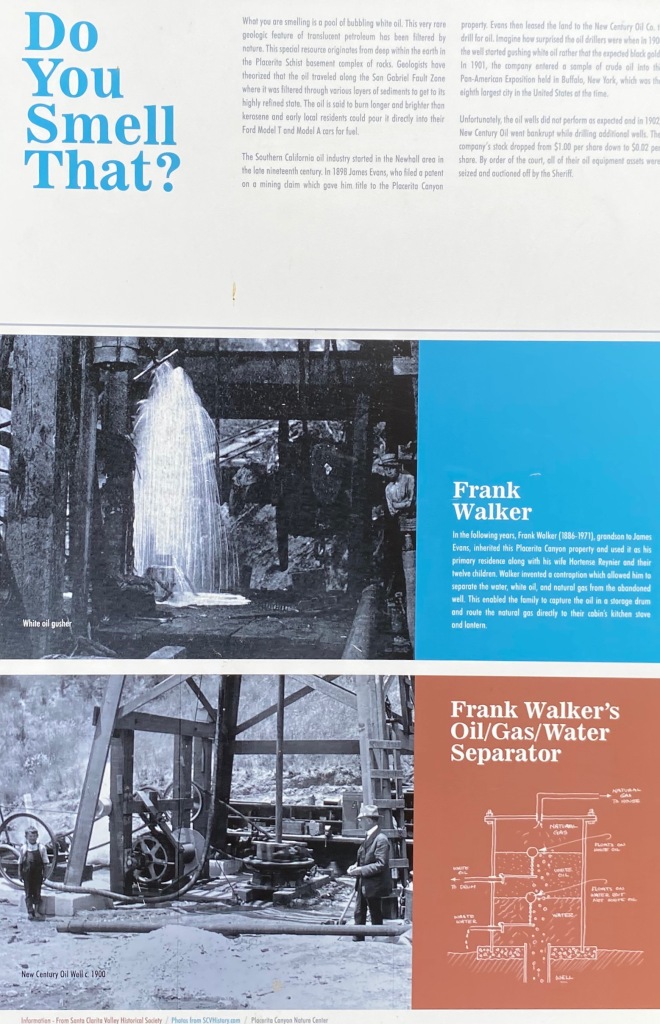 A trail sign that describes the white oil found in Placerita and about Frank Walker, the person who owned the land. The sign is placed along the trail at a site where the oil is seeping to the surface.